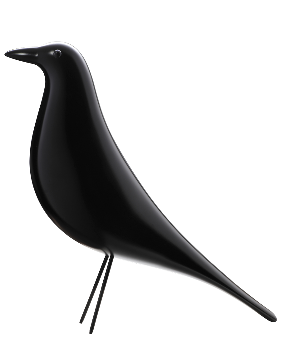 BIRD (버드)