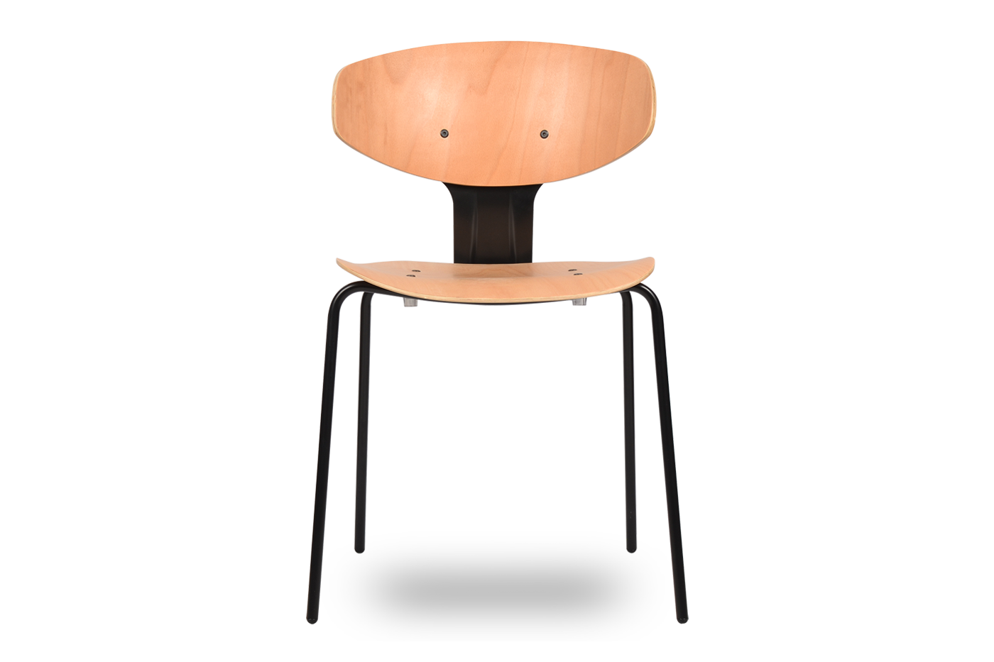 ALBO CHAIR (알보 체어)